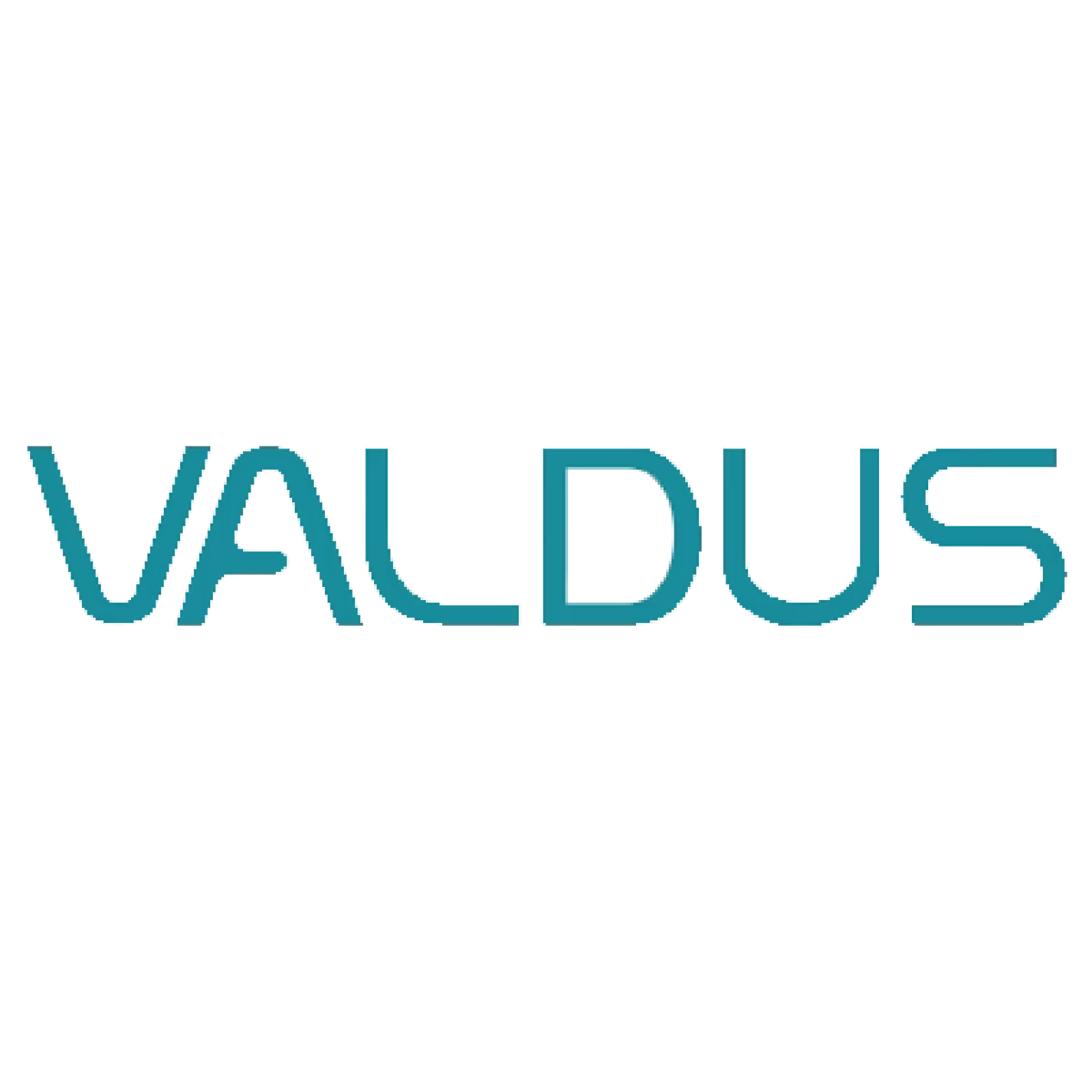 valdous logo-01